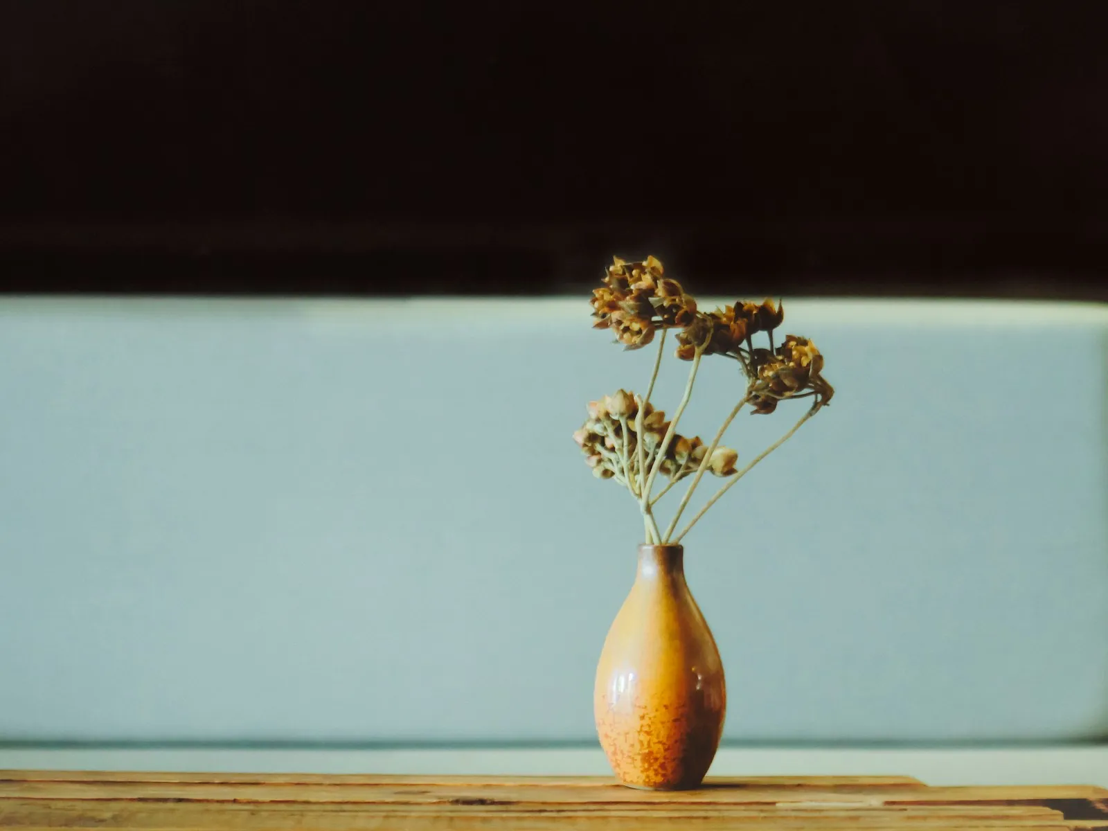 After: Soft still life