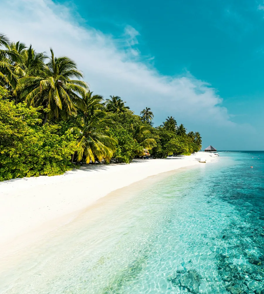 Island mornings