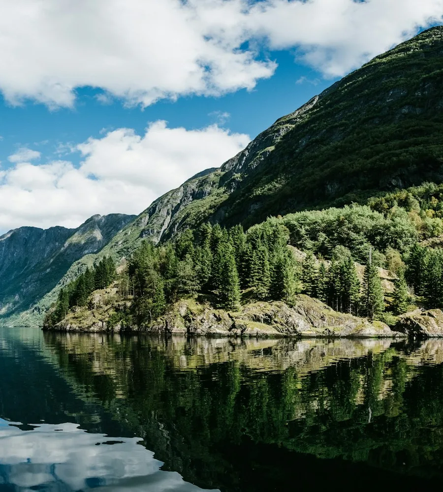 Still fjord morning